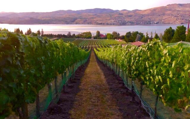 Lakeside Lodge And Suites