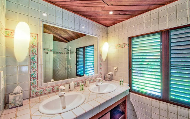 Dream Villa Terres Basses-1160