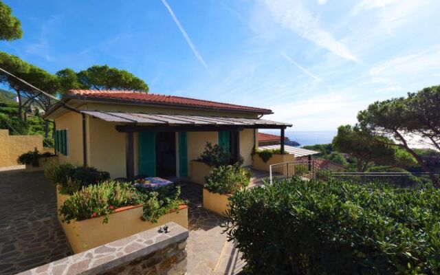 Apartment Oasis Capoliveri 26488