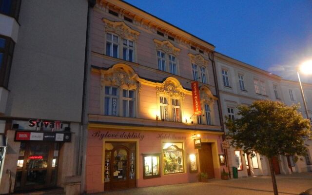 Hotel Morava