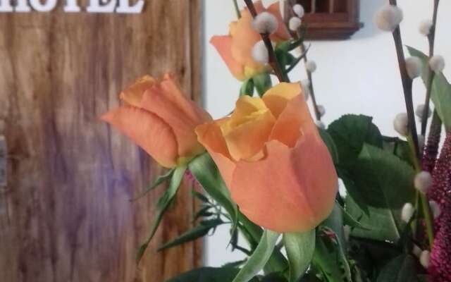 Hotel Bad Langensalza Eichenhof