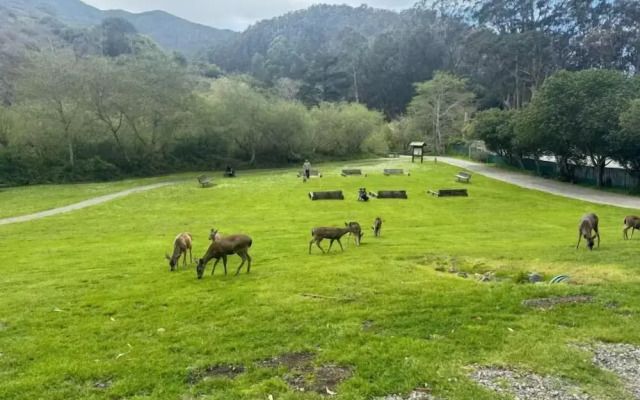 Beachy 1BR Escape with SofaBed Golf