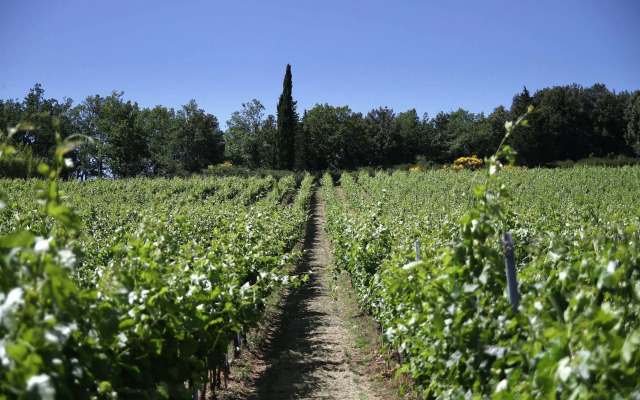 Podere Vignola