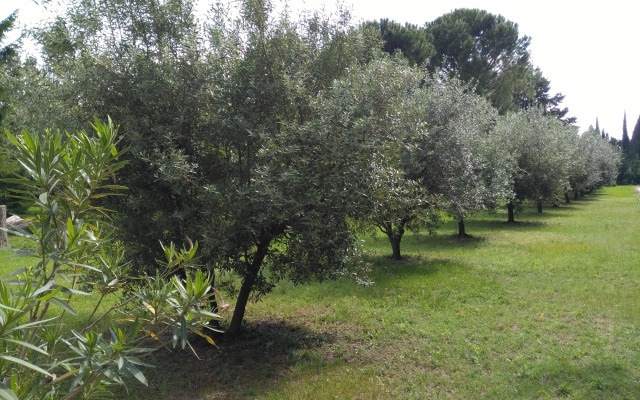Le rêve D'Emma Chambres D'hôtes