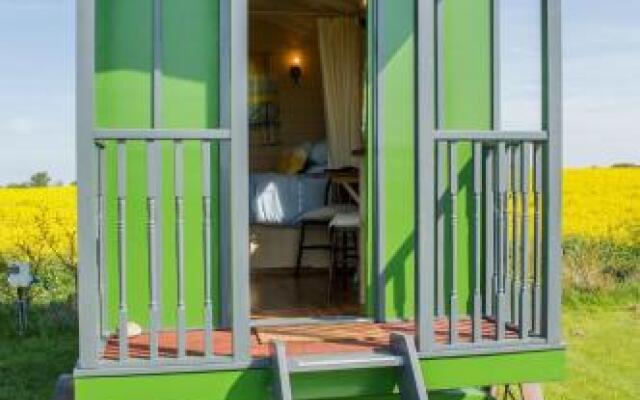 Shrublands Farm Shepherd's Hut