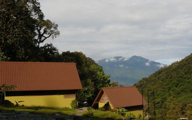 Tree Trek Boquete Adventure Park