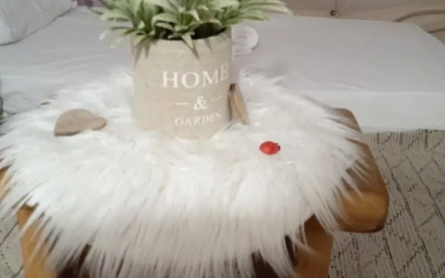 Queens Luxury Glamping