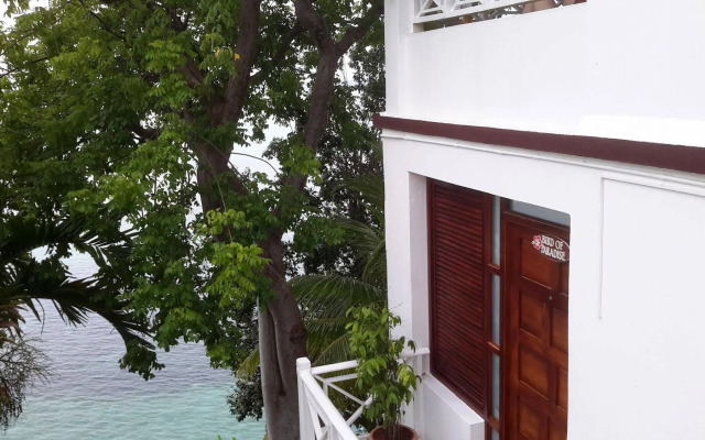 Hibiscus Lodge