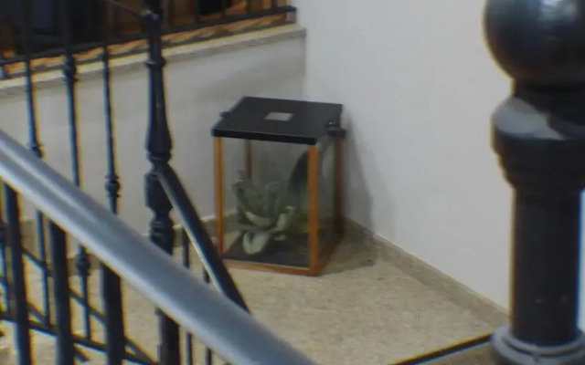 Hotel Roquiño