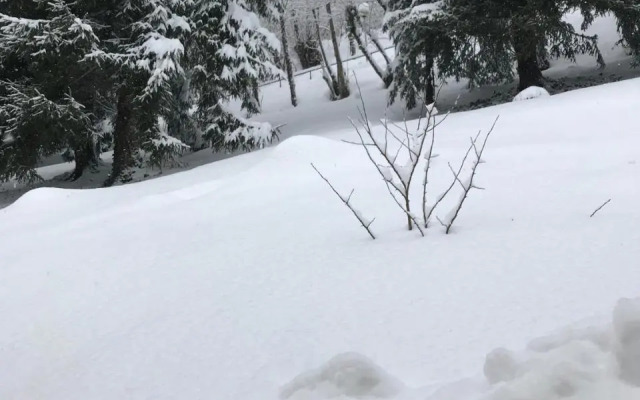 Residence Courbet Meylouga