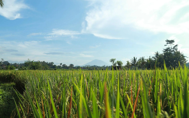 Samkhya Villas