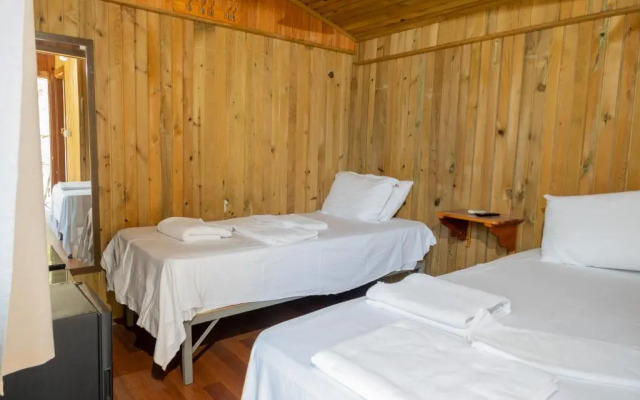 Tree House Otel