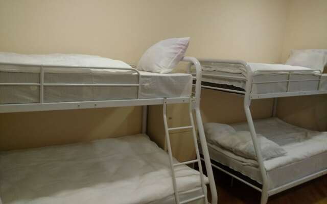 Хостел «Викинг»