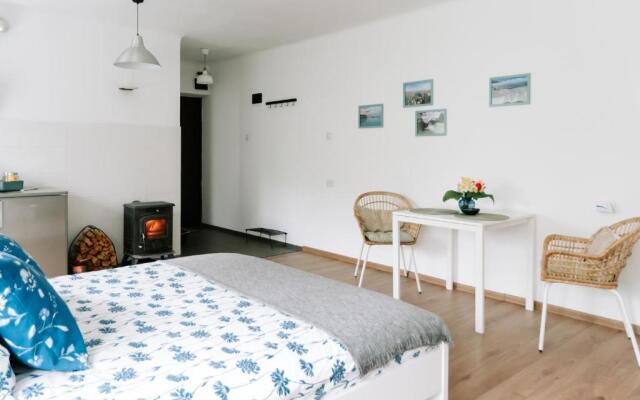 Lake Aluksne studio apartment