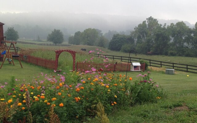 The Dragonfly Bed and Breakfast