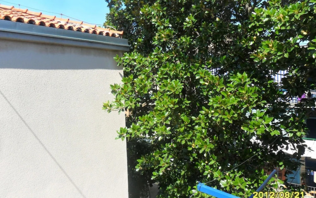 Apartment Iadera Central