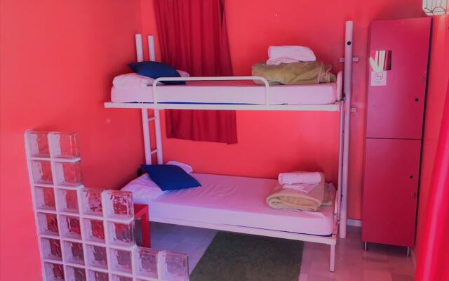 White Nest Hostel