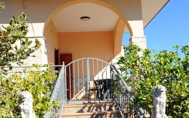 Stella Della Valle DItria