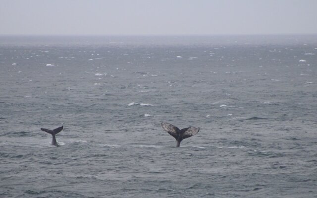 Villa La Mercy Chalet