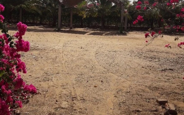 Baobab Lodge