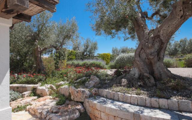 TD Trulli di Montaltino With Stunning Huge Pool