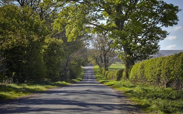 Lily Hill Farm