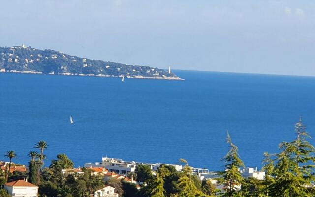 Classy Apartment in Nice with pool and private parking place