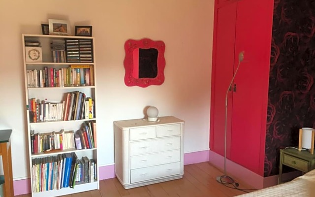 les camélias