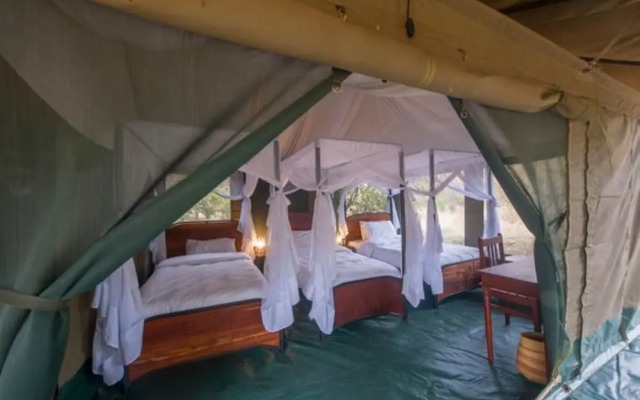 Acacia Migration Camp Ndutu