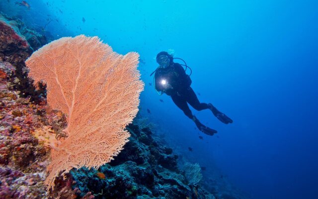 Nala Maldives by Jawakara