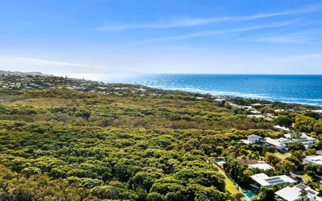 Peace within the palms, Castaways Beach