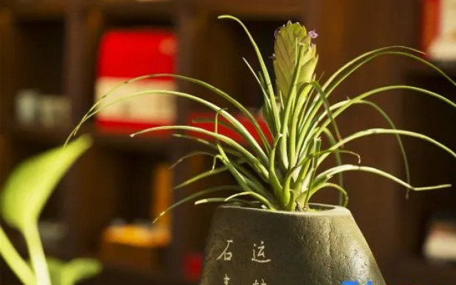 Meicheng Wenlv Hotel (Dengfeng Guanshuyuan)