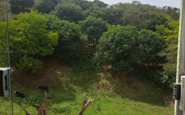 Margaça Condomínio Califórnia