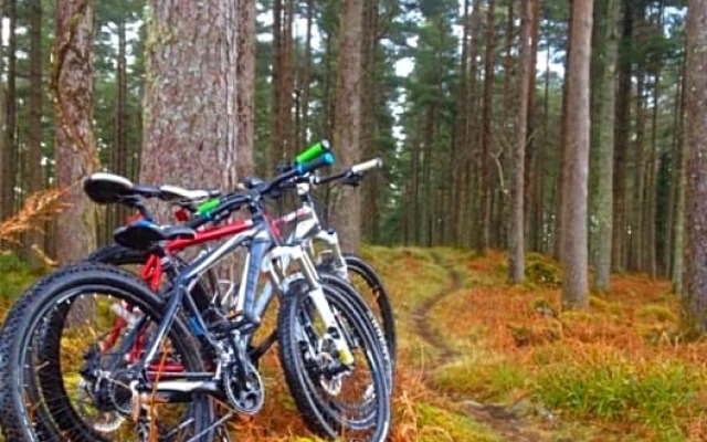 Rugged Glen Accommodation 2