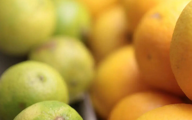 Hotel Goldener Anker