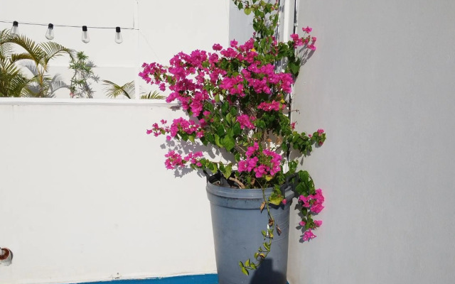 Residencial ParaÍso CASA JADE