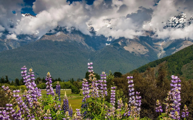 Glenorchy Peaks B&B