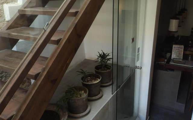 Domus Studios