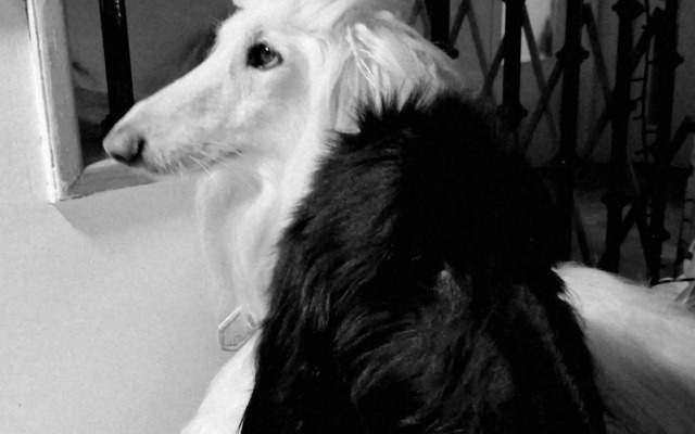 Habitacion basico y económico en casa particular