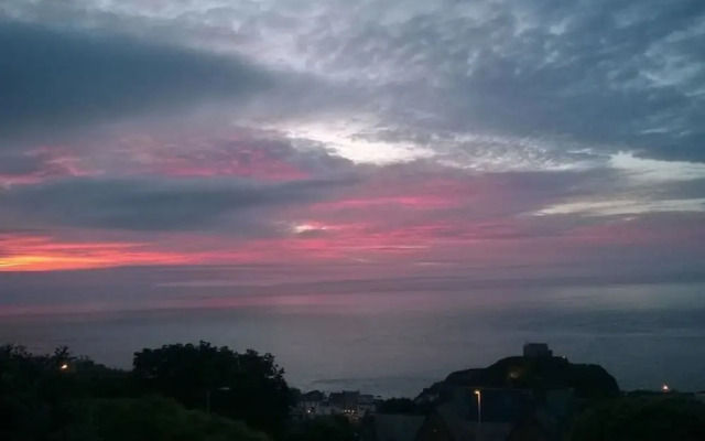 Hollies and Ilfracombe Harbour View