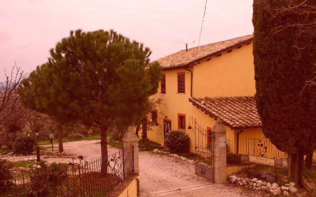 Il Grappolo e la Rosa