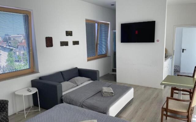 R41 - TIVOLI studios and apartments Ljubljana