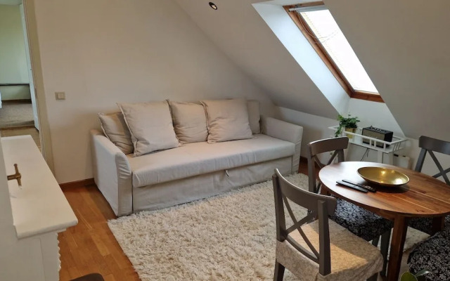 TyzenXL Luxury Vilnius Apartment