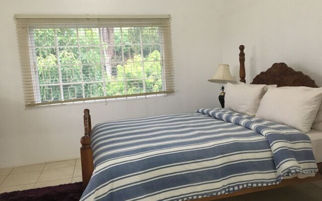 Rose View Apartment Montego Bay