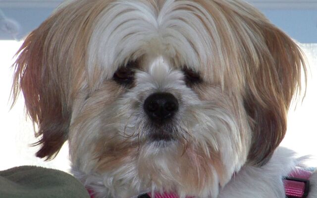 Highliner Hotel & Conference Centre