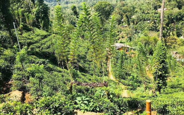 Tea Cabins