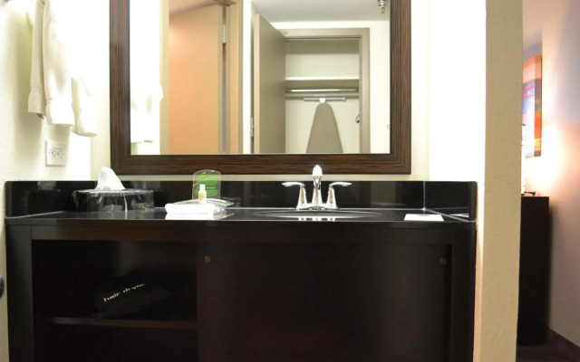 Holiday Inn Houston S - Nrg Area - Medical Center by IHG