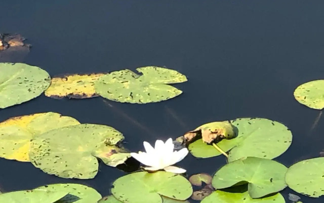 Vakantiepark 't Vosseven