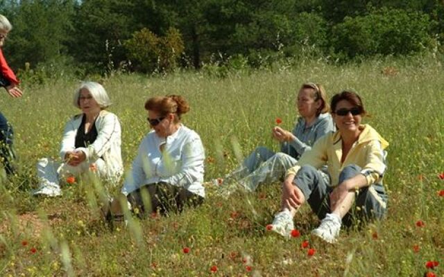 Ayka Vital Park