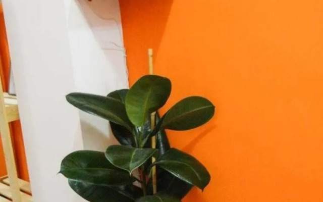 Suites Holiday Rooms